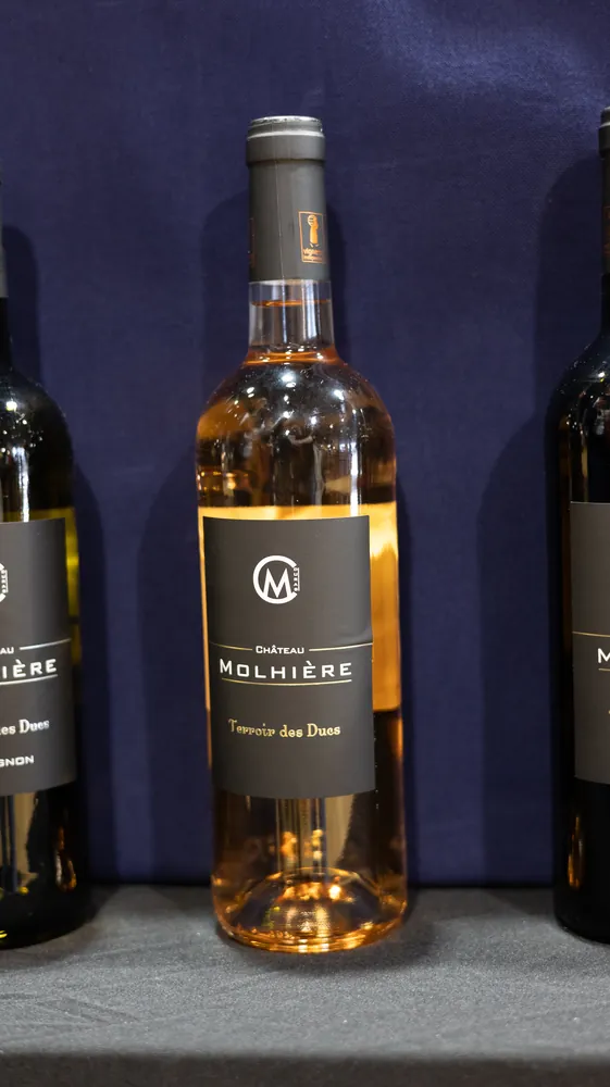 Vigneron au salon Vignes & Vilaine