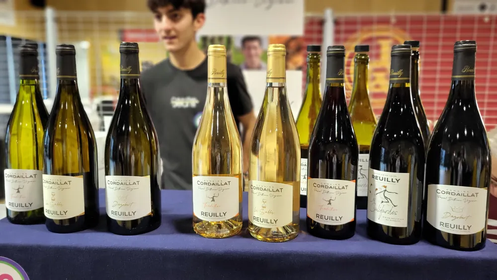 Vigneron au salon Vignes & Vilaine